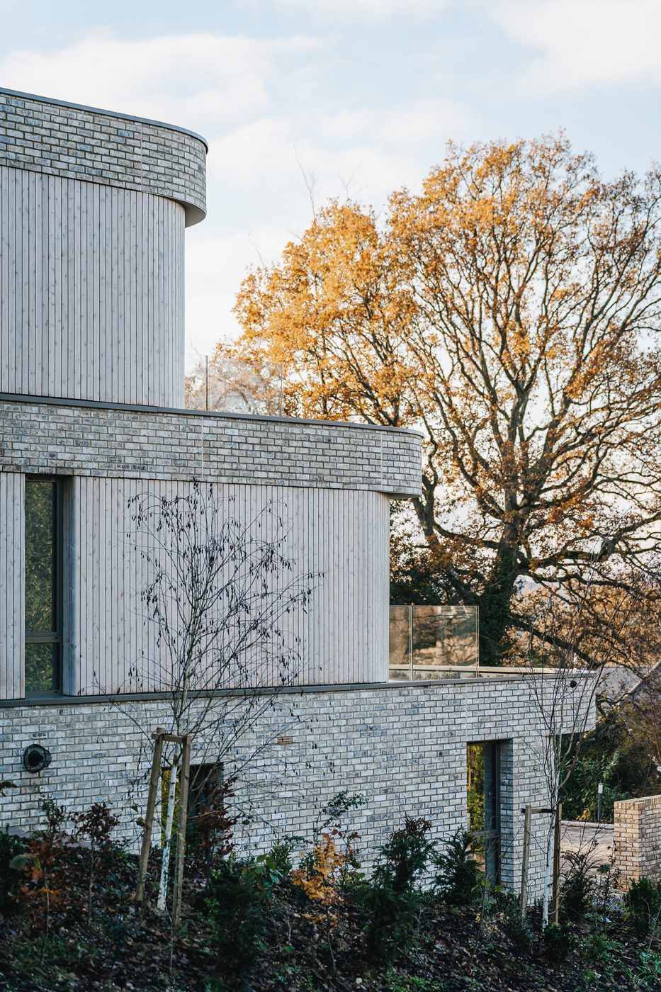 Strawberry Close-086