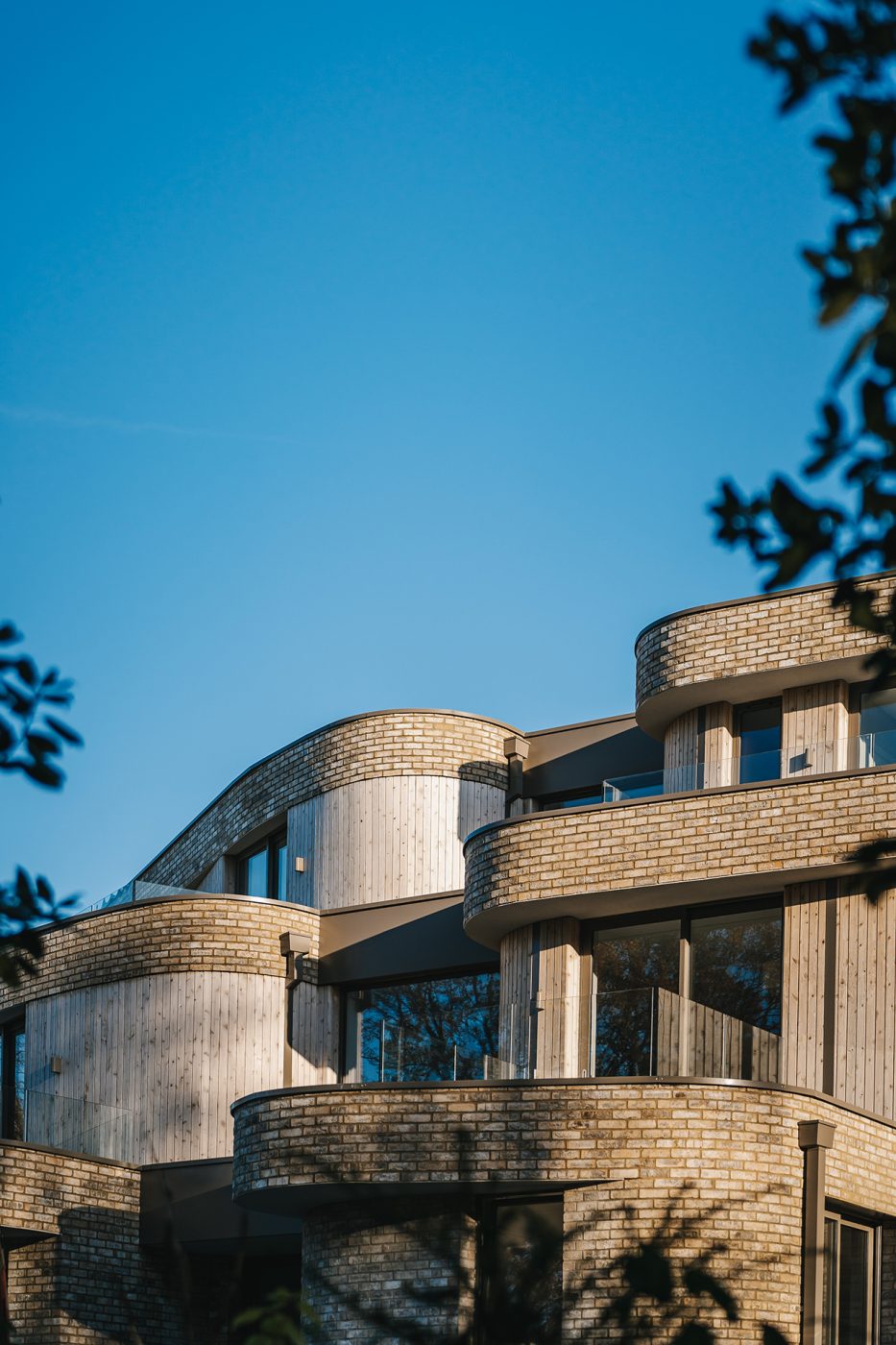 Strawberry Close-096