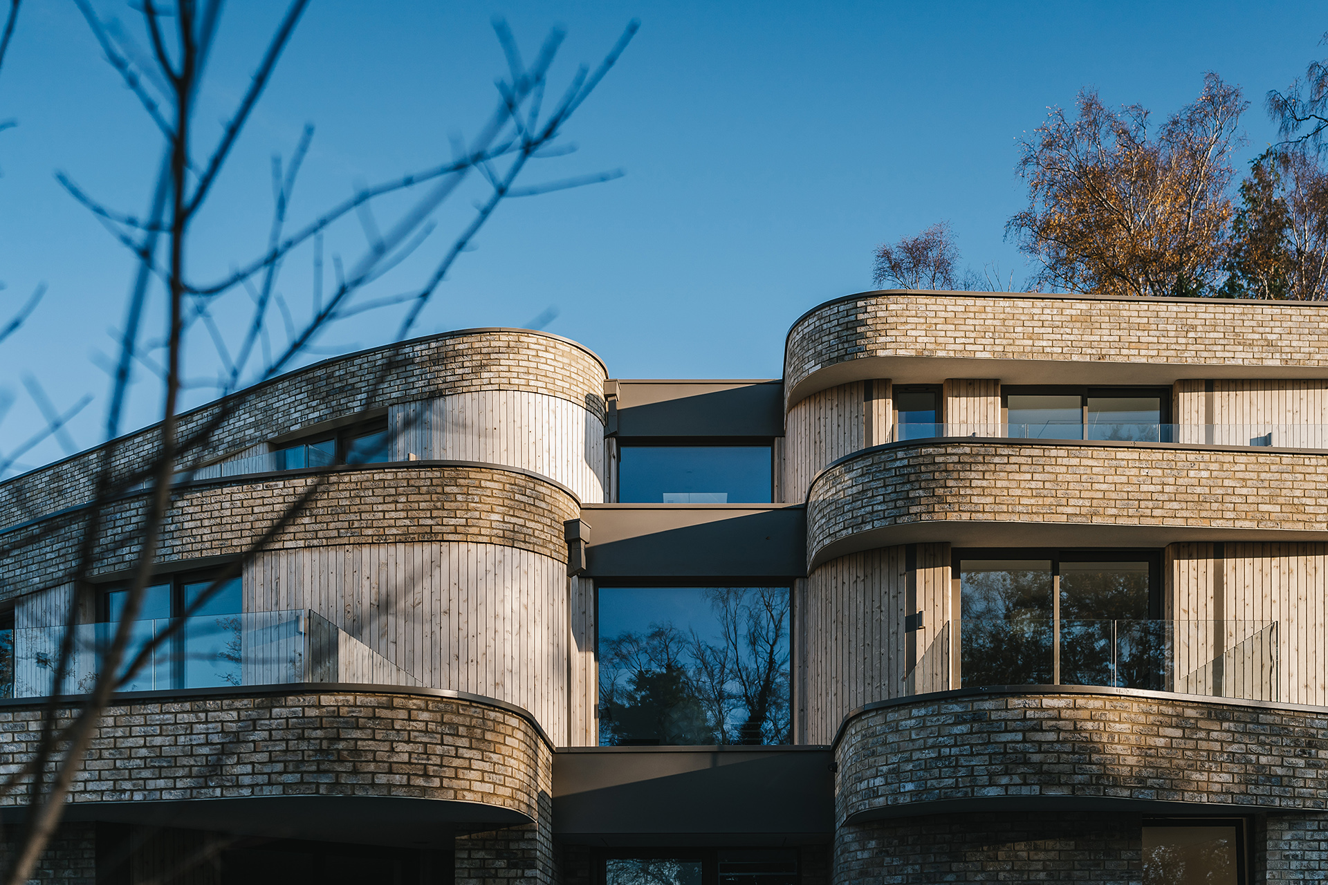 Strawberry Close-102