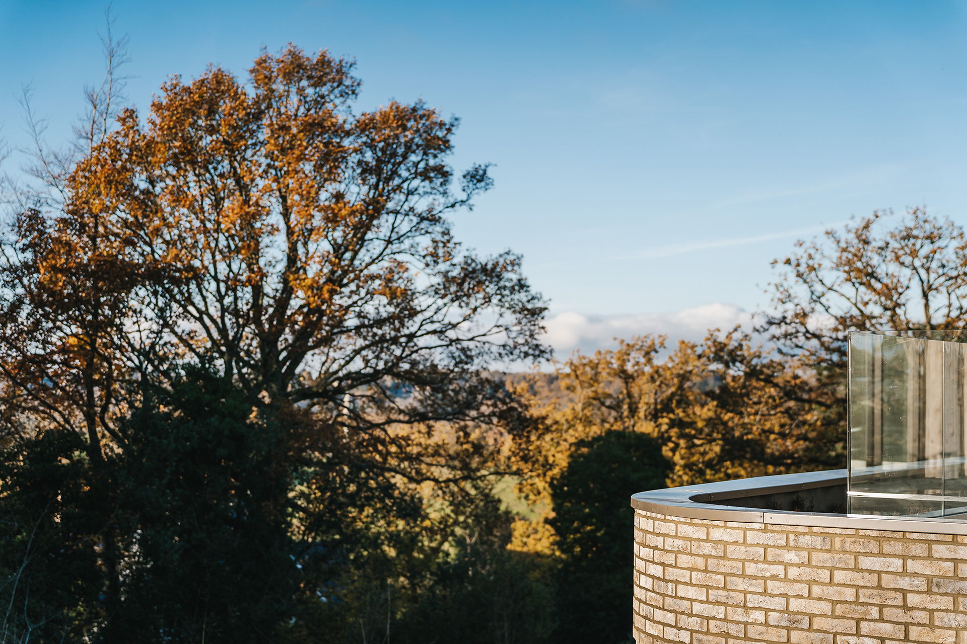 Strawberry Close-104