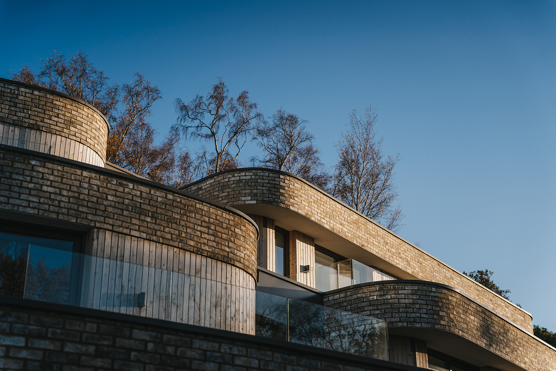 Strawberry Close-106