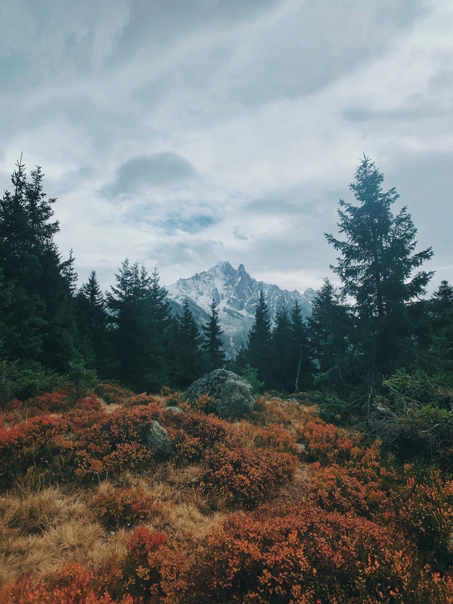 dash-kadam-iYulYt3Ukiw-unsplash